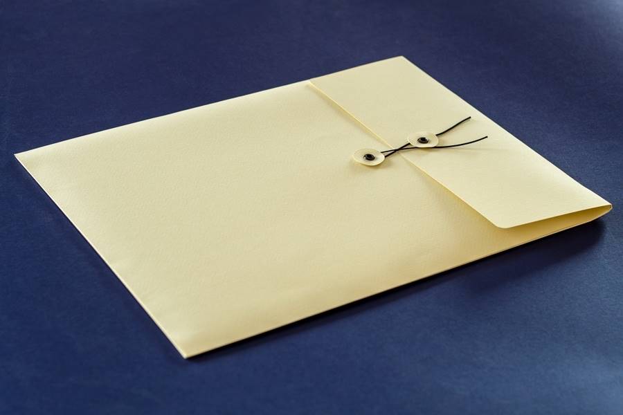 Plic special pridere cu elastic