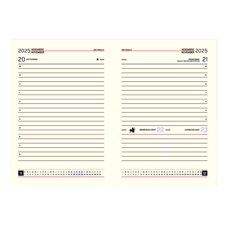 Medium zilnic ivory
