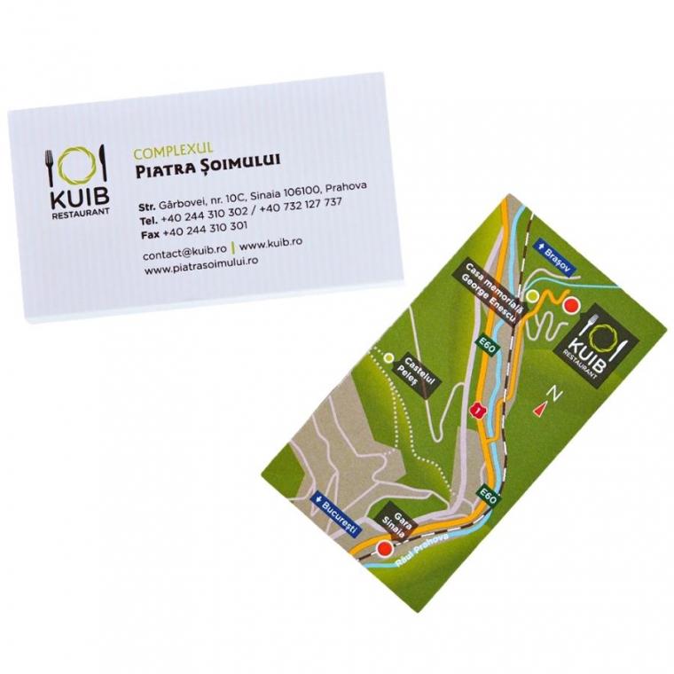 Cărți de vizită carton standard 