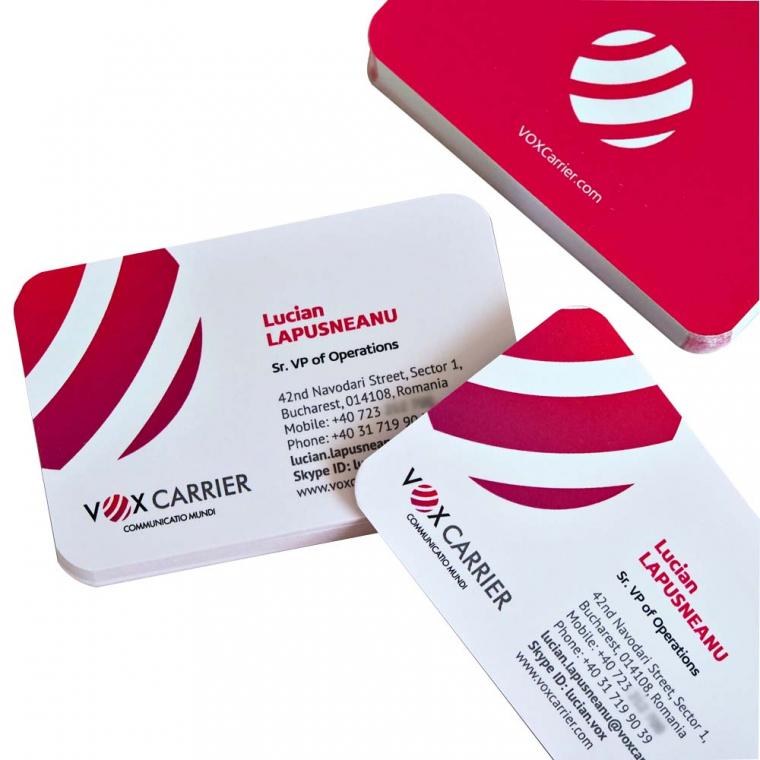 Cărți de vizită carton standard 