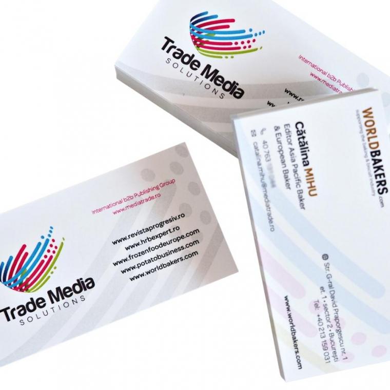 Cărți de vizită carton standard 