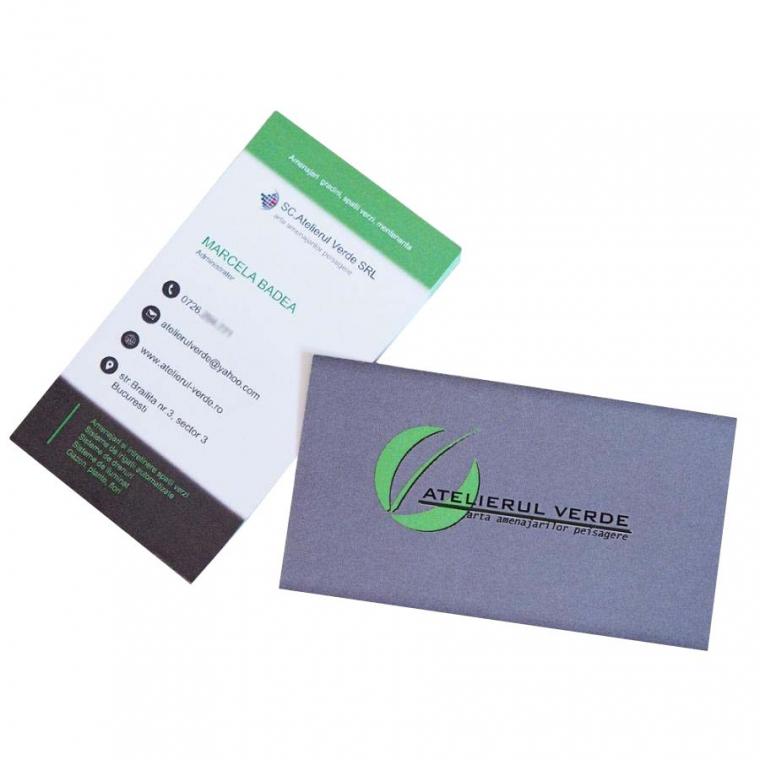 Cărți de vizită carton standard 