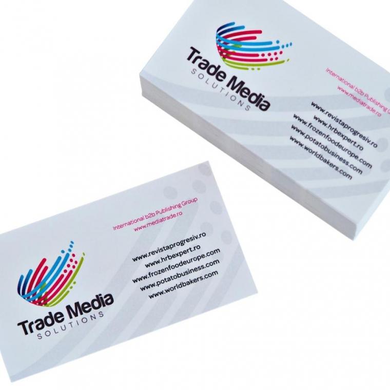 Cărți de vizită carton standard 