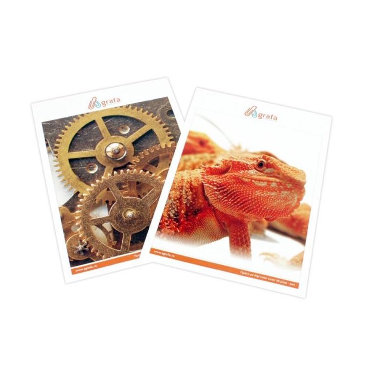 Printuri digitale color