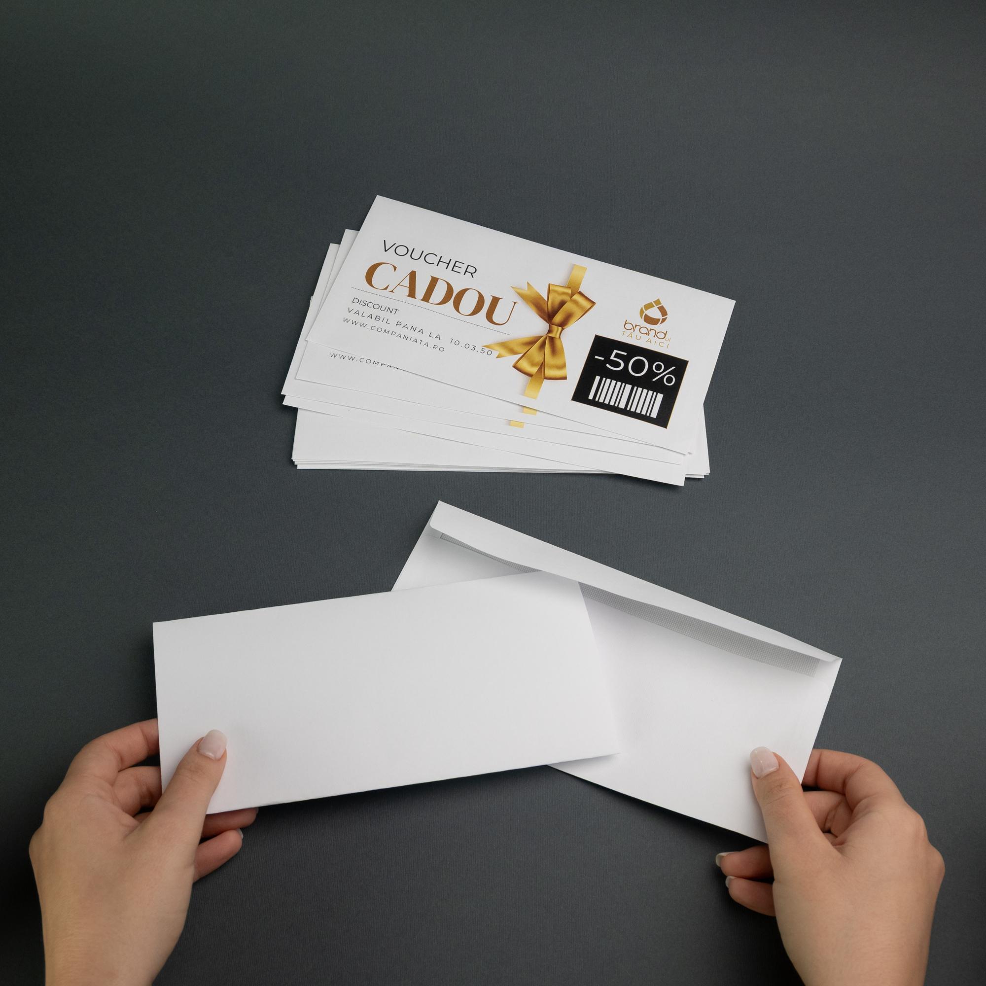 Plicuri B4 (250 x 353 mm)