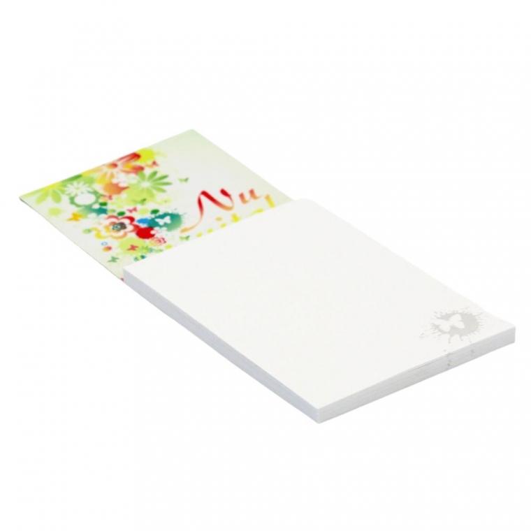 Notesuri magnetice