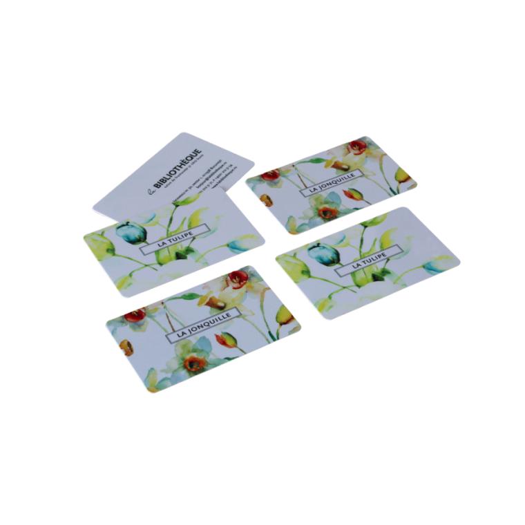 Carduri albe sau color imprimate color, cantități sub 500 bucăți argintiu