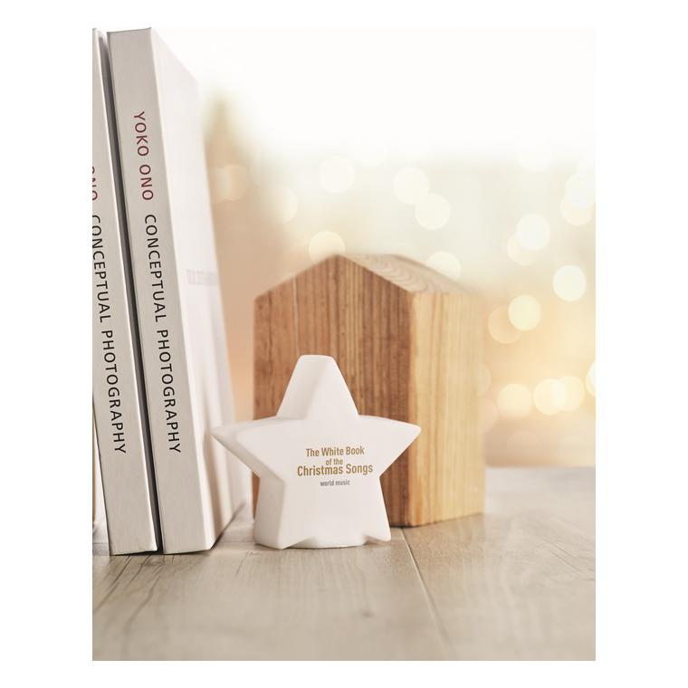 Luminițe PVC cu leduri în form LUMISTAR Alb