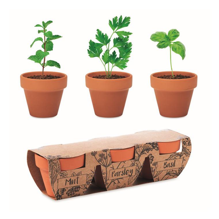 Set vase teracotă - 3 ierburi FLOWERPOT Natur