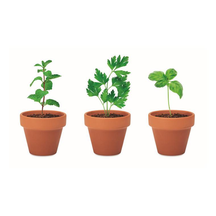 Set vase teracotă - 3 ierburi FLOWERPOT Natur