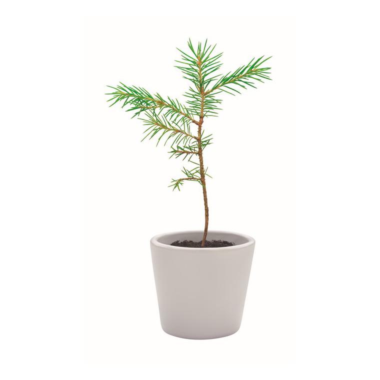 Semn de carte cu semințe pin GROWBOOKMARK™ Bej