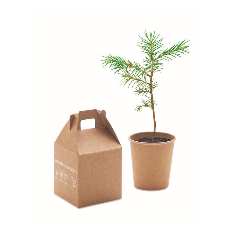 Set din pin GROWTREE™ Bej