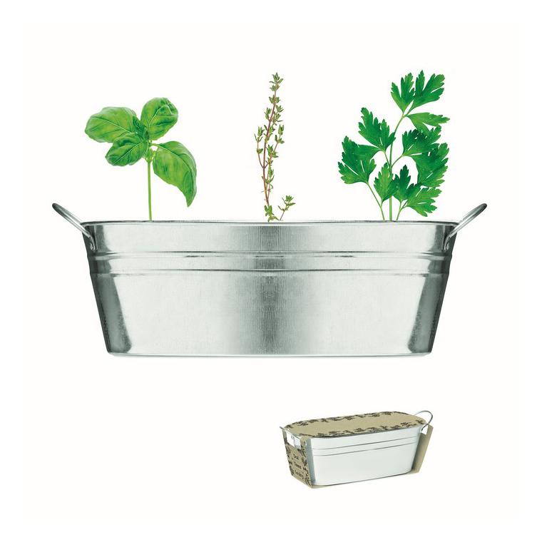 Ghiveci din zinc cu semințe MIX SEEDS Argintiu mat