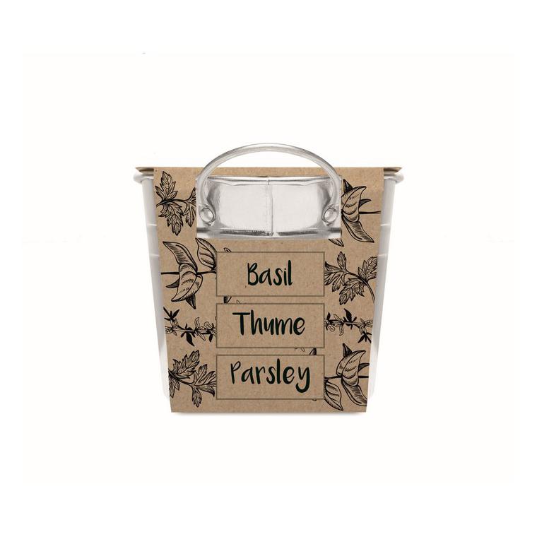 Ghiveci din zinc cu semințe MIX SEEDS Argintiu mat