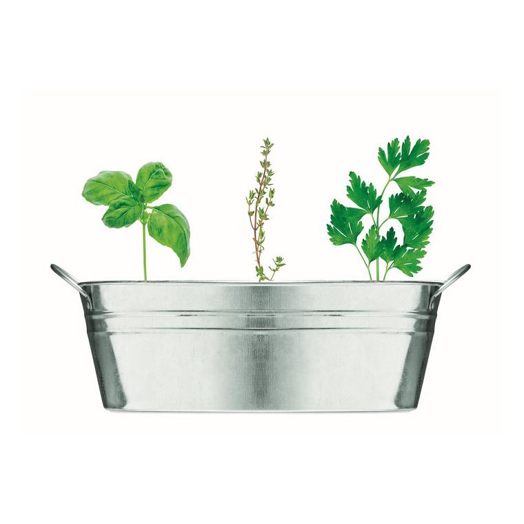 Ghiveci din zinc cu semințe MIX SEEDS Argintiu mat