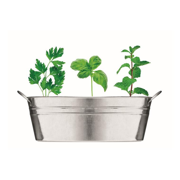 Ghiveci din zinc cu semințe MIX SEEDS Argintiu mat