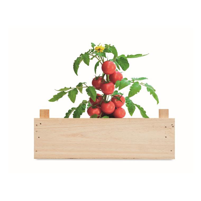 Set de roșii în cutie de lemn TOMATO Natur