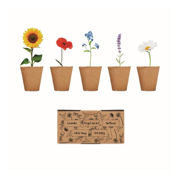 Kit de creștere a florilor FLOWERS Bej