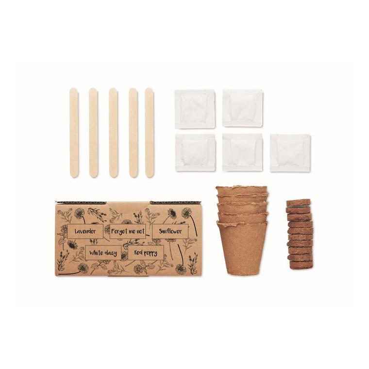 Kit de creștere a florilor FLOWERS Bej