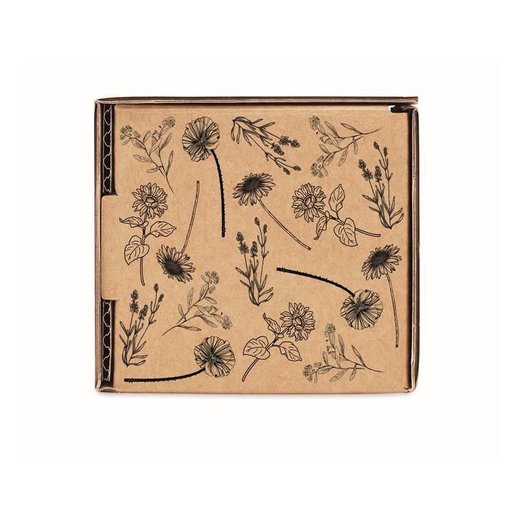 Kit de creștere a florilor FLOWERS Bej