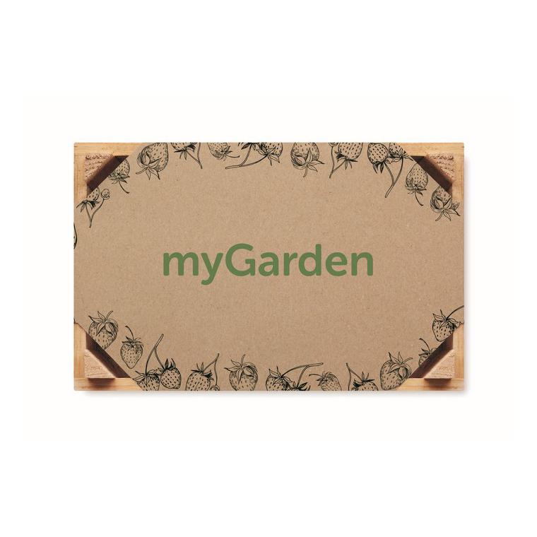 Kit căpșuni în cutie de lemn STRAWBERRY Natur