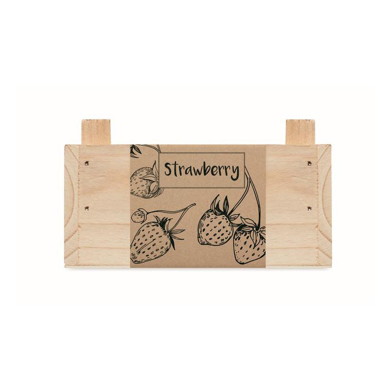Kit căpșuni în cutie de lemn STRAWBERRY Natur