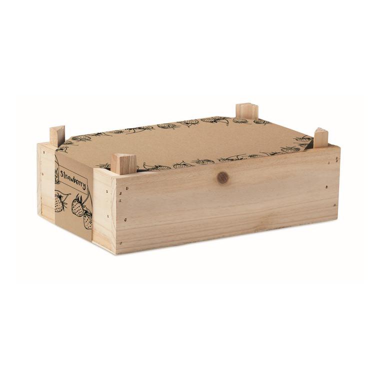 Kit căpșuni în cutie de lemn STRAWBERRY Natur