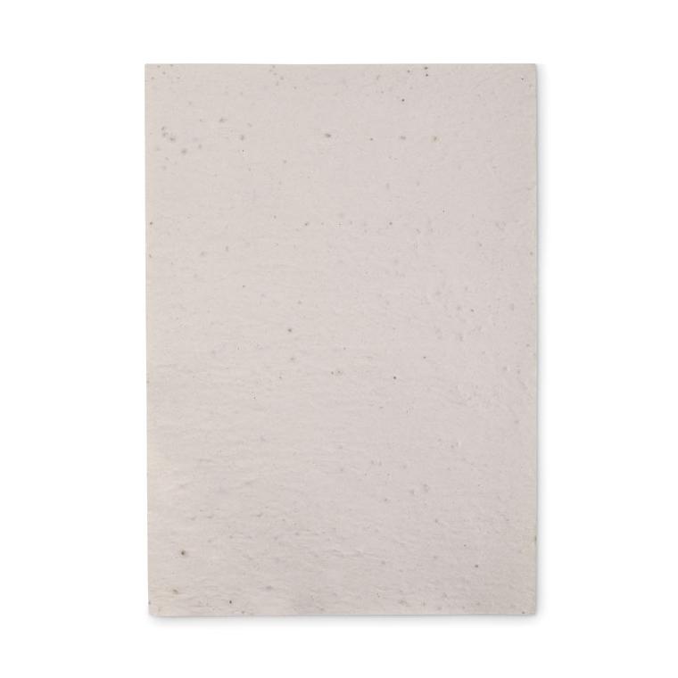 Foaie A4 cu semințe ASIDI Alb