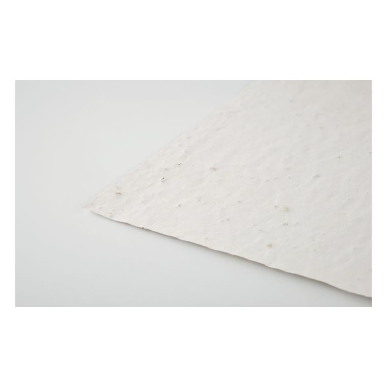 Foaie A4 cu semințe ASIDI Alb