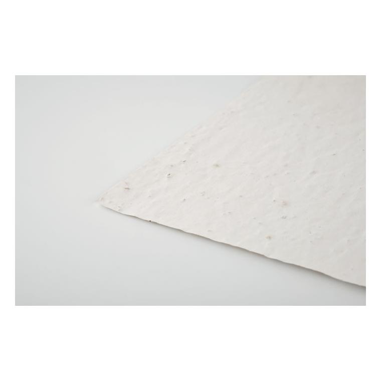 Foaie A5 cu semințe ASIDE Alb