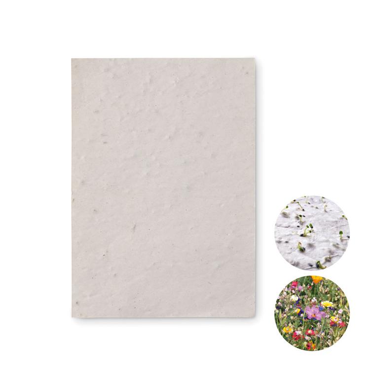 Foaie A6 cu semințe ASIDO Alb