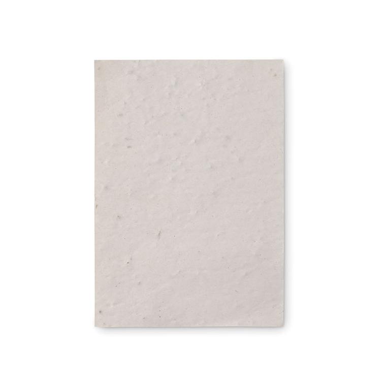 Foaie A6 cu semințe ASIDO Alb