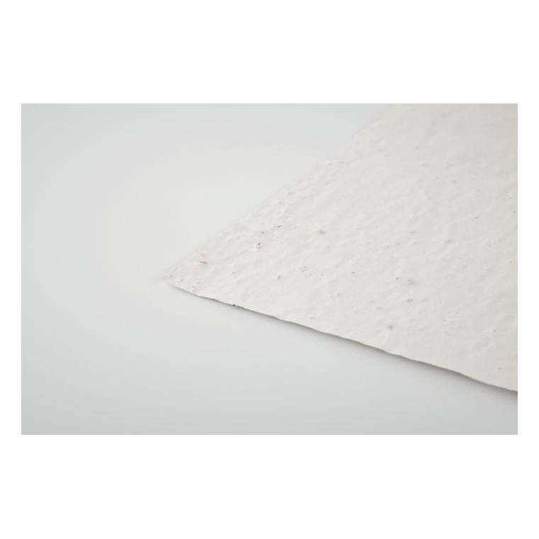 Foaie A6 cu semințe ASIDO Alb