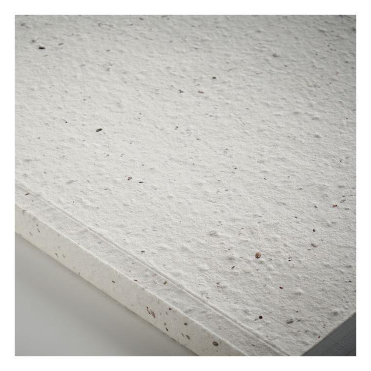 Notebook A5 cu copertă din hârtie cu semințe SEED BOOK Alb