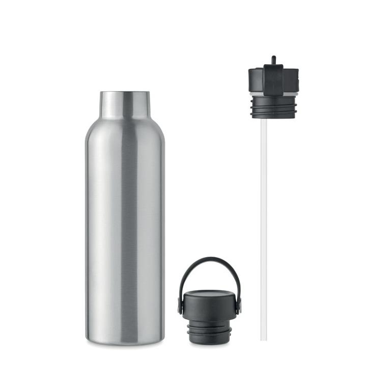 Sticlă cu perete dublu 700 ml BOALI Argintiu mat