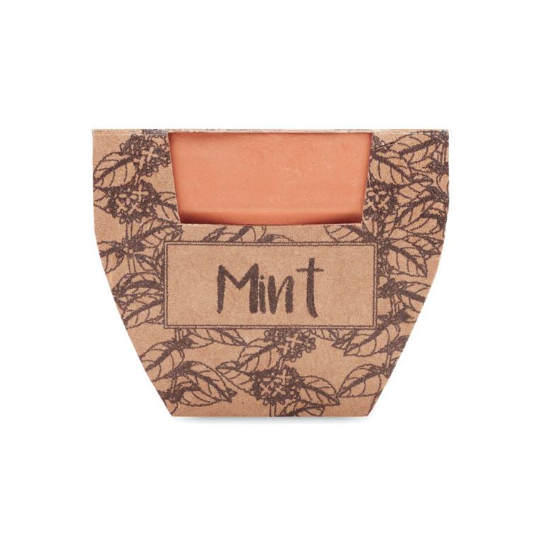 Semințe mentă în ghiveci de teracotă MINT POT Natur