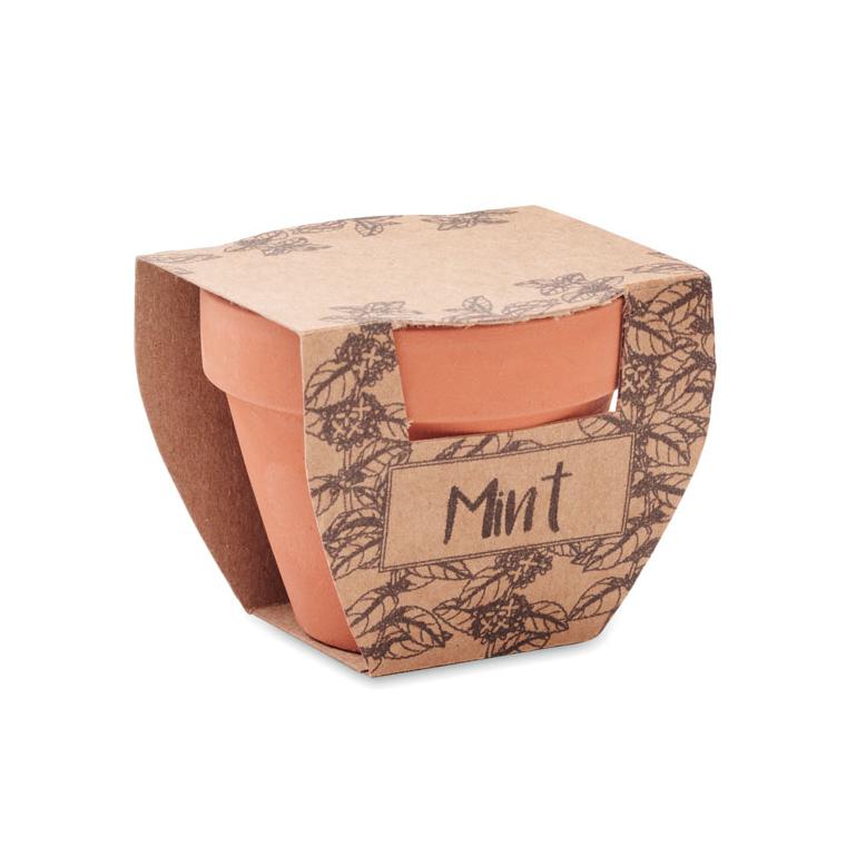 Semințe mentă în ghiveci de teracotă MINT POT Natur