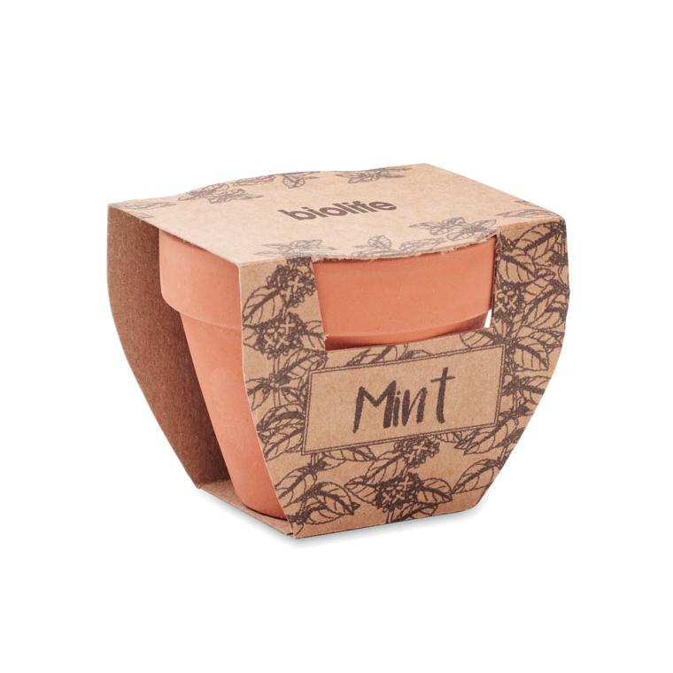 Semințe mentă în ghiveci de teracotă MINT POT Natur