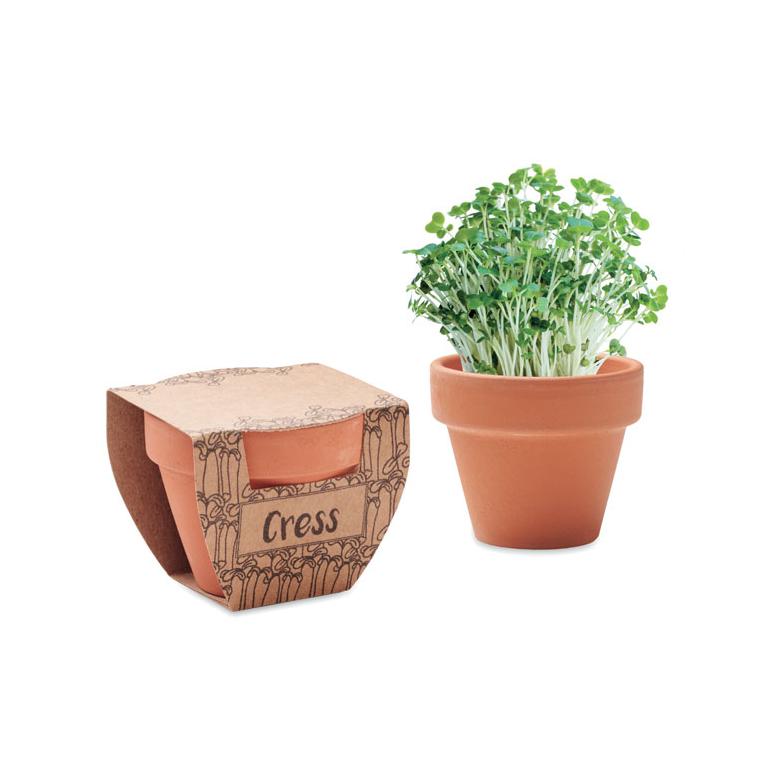 Semințe creson în ghiveci de teracotă CRESS POT Natur