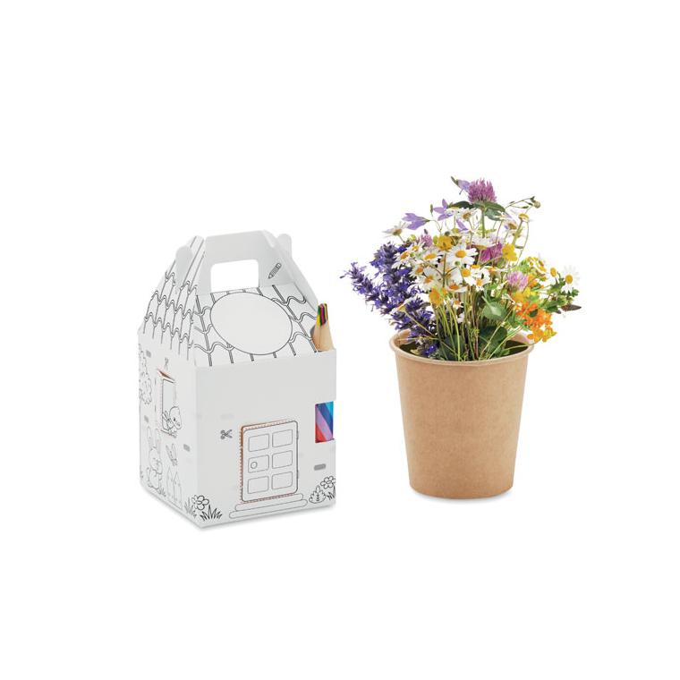 Set semințe în formă de casă FULLHOUSE Multicolor