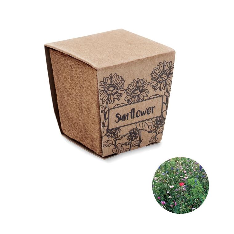 Kit pentru cultivarea florii-soarelui SUNFLOWER KIT Bej