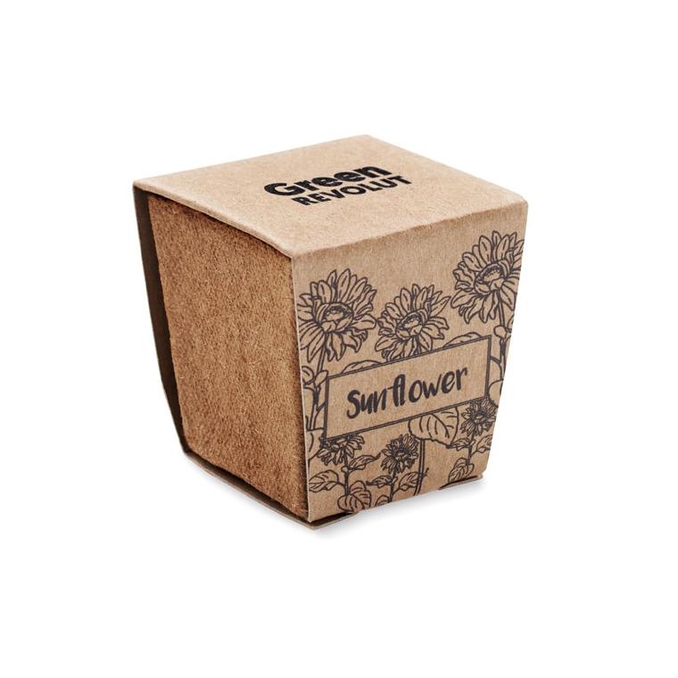 Kit pentru cultivarea florii-soarelui SUNFLOWER KIT Bej