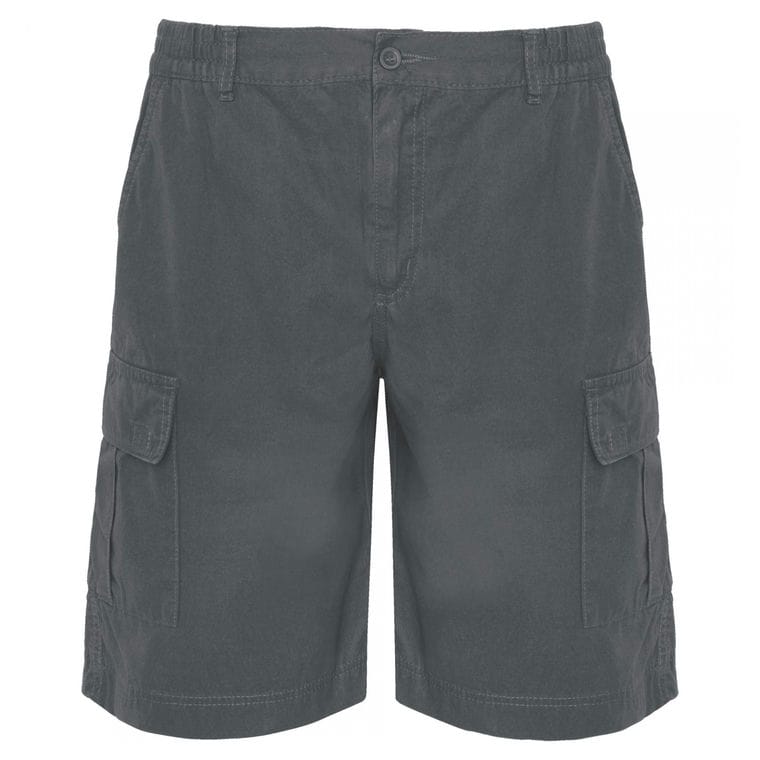 Bermude pentru bărbați ARMOUR PLUMB