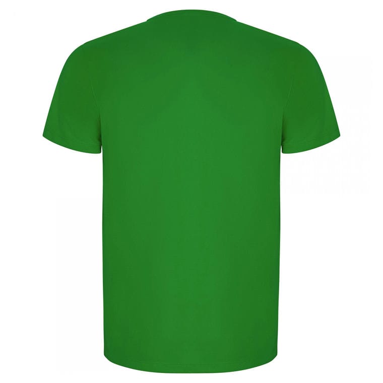 Tricou pentru bărbați IMOLA VERDE TEI 12 ani