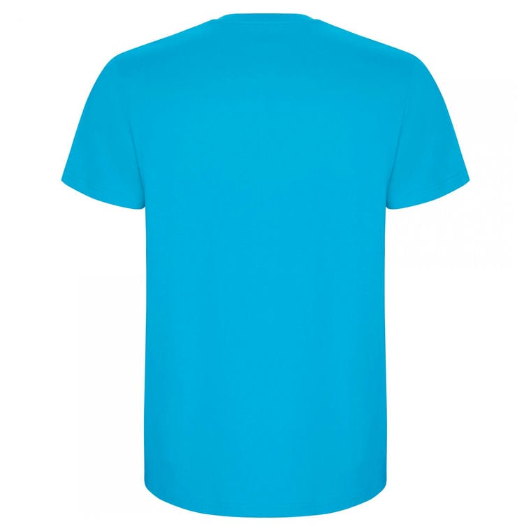 Tricou pentru bărbați STAFFORD TURCOAZ M