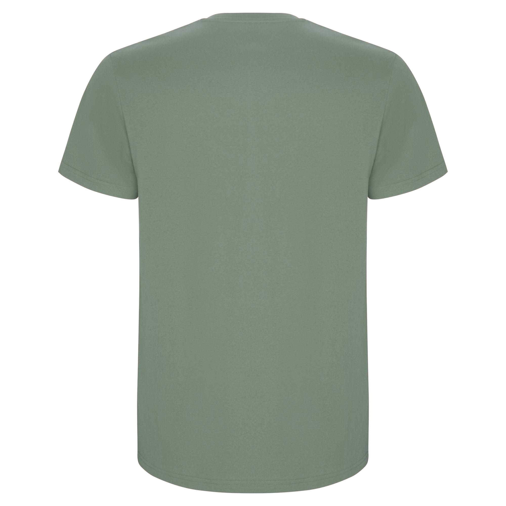 Tricou pentru bărbați STAFFORD Verde Dafin 3 - 4 ani