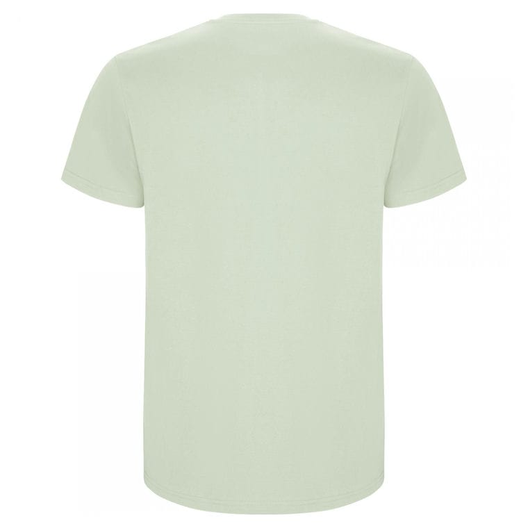 Tricou pentru bărbați STAFFORD VERDE MIST S
