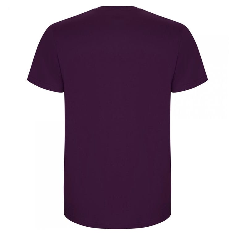 Tricou pentru bărbați STAFFORD MOV PURPURĂ S