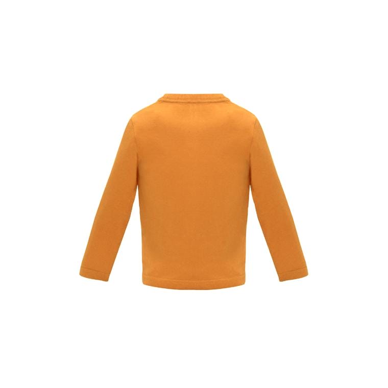 Tricou Unisex BABY L/S PORTOCALIU 12 luni