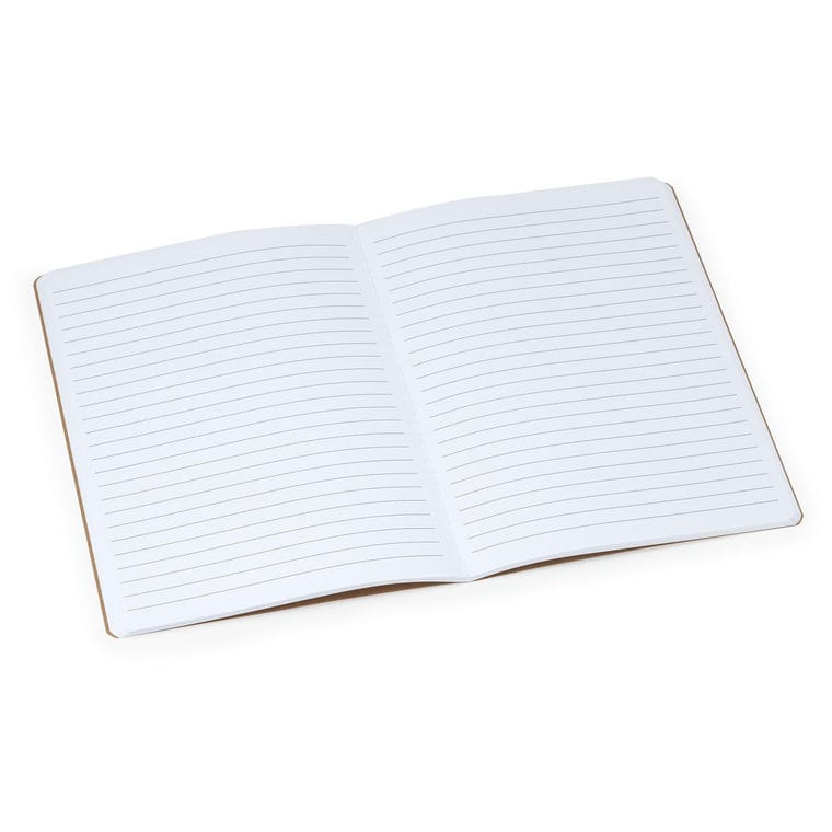 Blocnotes DANICA NEGRU